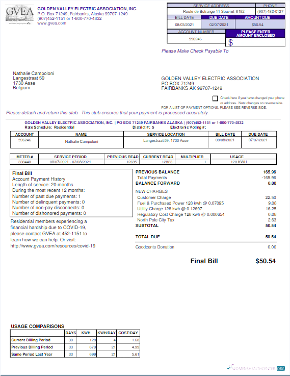 download download USA GVEA utility bill Word and PDF template PDF template PDF template